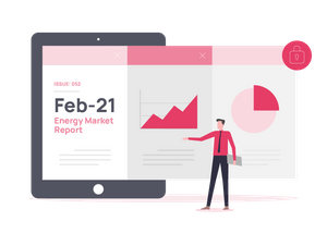 Feb-21 Energy Market Report