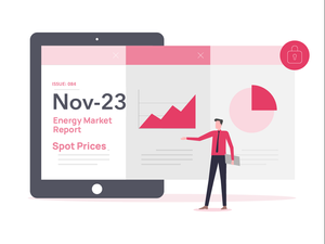 Nov-23 Spot Market Report